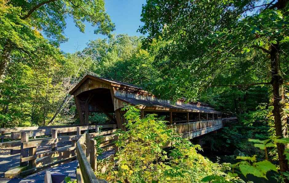 Beautiful wooden covered bridge in a vibrant summer forest in Youngstown, Ohio, showcasing natural rustic charm.